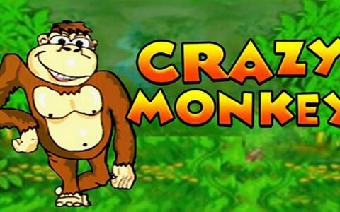 Игровой автомат Crazy Monkey: описание