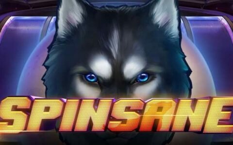 Игровой автомат Spinsane : описание