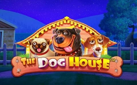 Игровой автомат The Dog House: описание