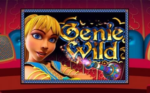 Игровой автомат Wild Genie: описание